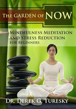 Mindfulness Meditation DVD